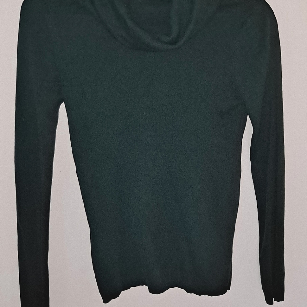 Banana republic turtleneck